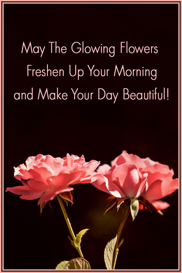 Greeting